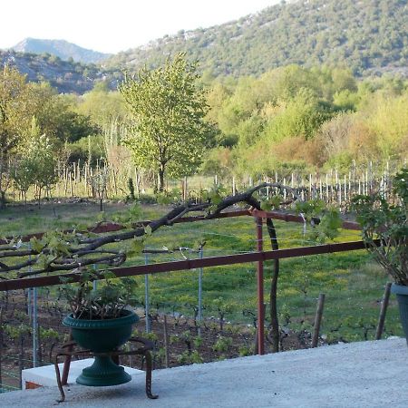 Guesthouse Feel Lake Virpazar Buitenkant foto