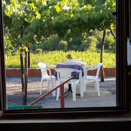 Guesthouse Feel Lake Virpazar Buitenkant foto