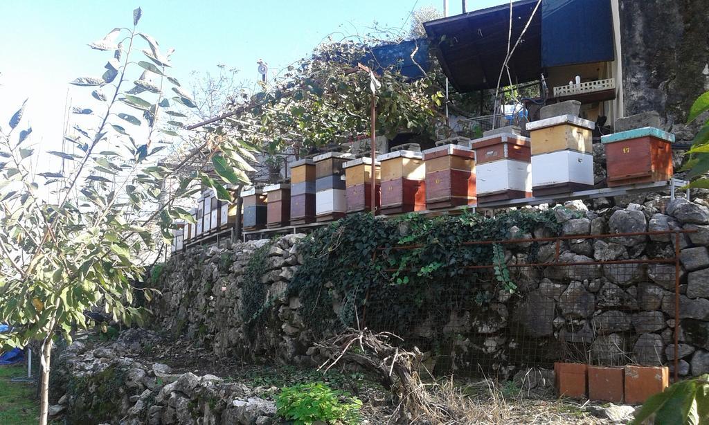 Guesthouse Feel Lake Virpazar Buitenkant foto