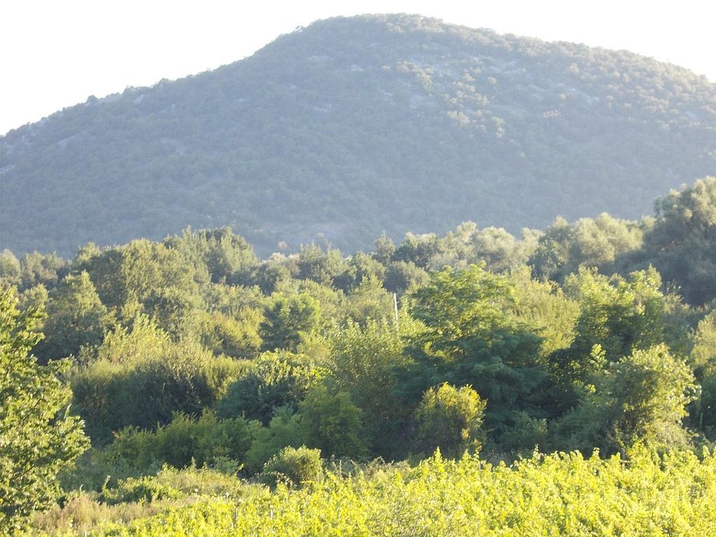 Guesthouse Feel Lake Virpazar Buitenkant foto