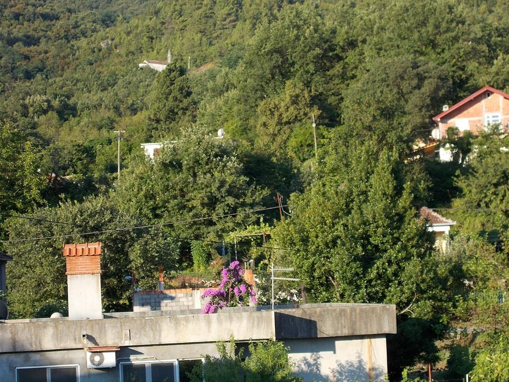 Guesthouse Feel Lake Virpazar Buitenkant foto