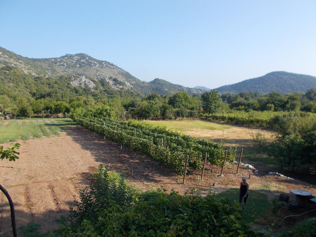 Guesthouse Feel Lake Virpazar Buitenkant foto