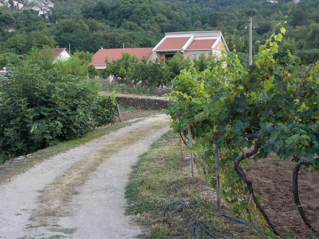 Guesthouse Feel Lake Virpazar Buitenkant foto