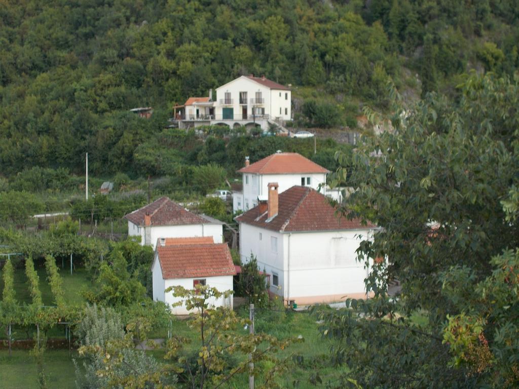 Guesthouse Feel Lake Virpazar Buitenkant foto