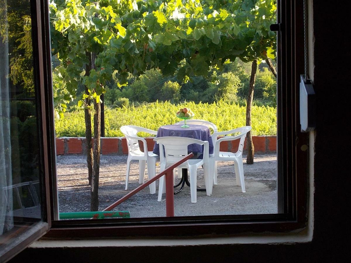 Guesthouse Feel Lake Virpazar Buitenkant foto